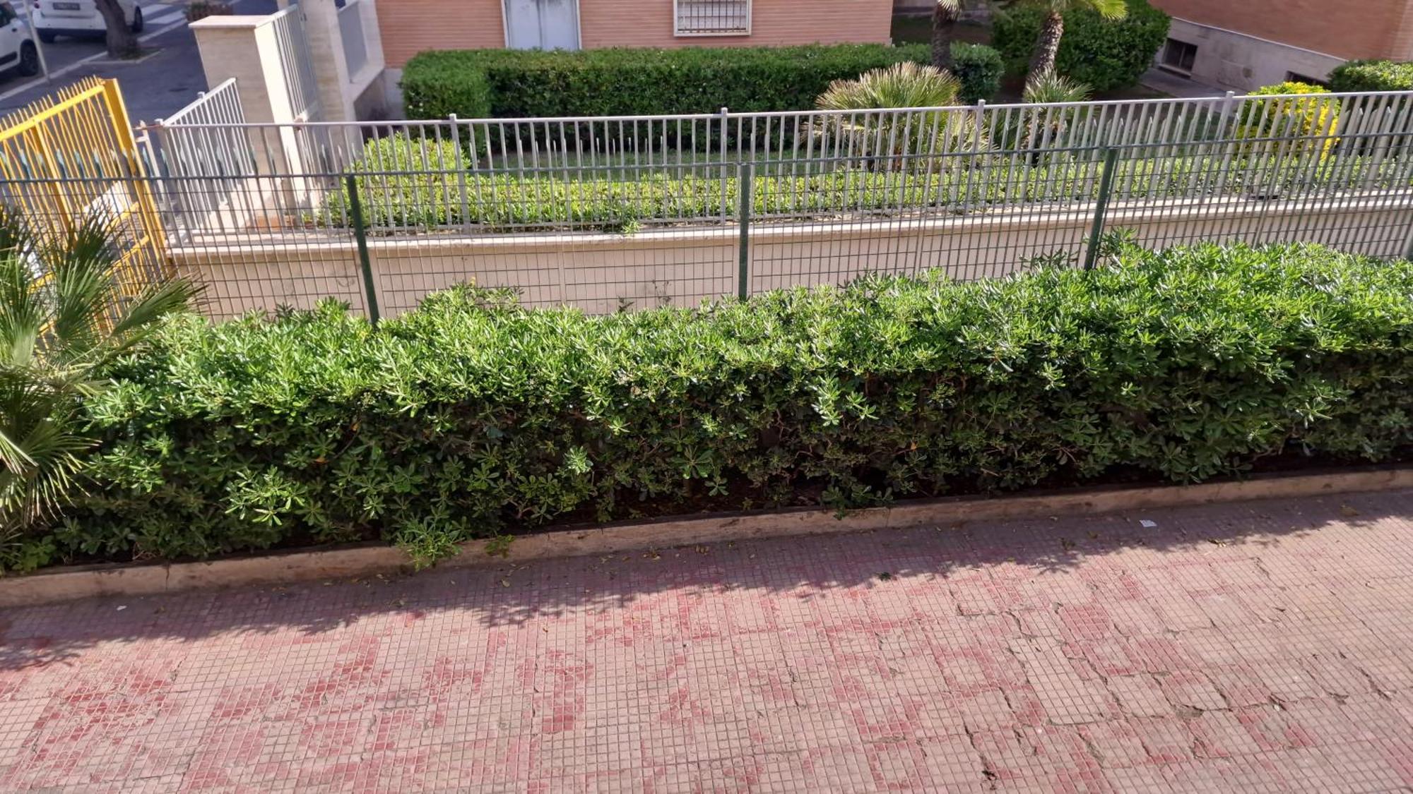 La Marina Di Ostia Apartamento Exterior foto